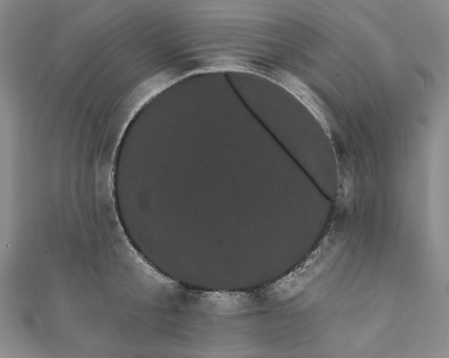 X0000111460805200907271250