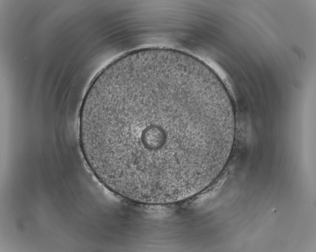 X0000111460807200907271250