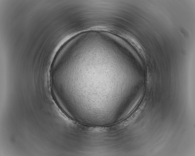 X0000111460808200907271250