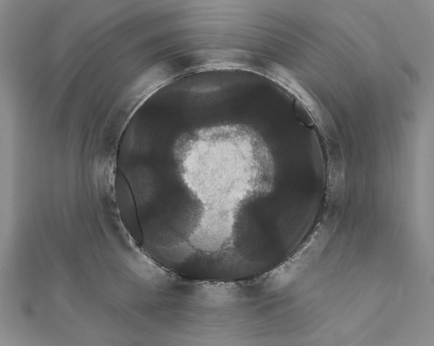 X0000111460809200907271250