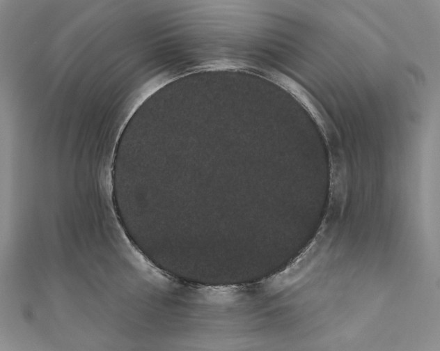 X0000111460810200907271250