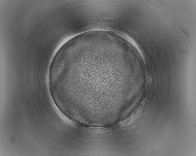 X0000111460811200907271250