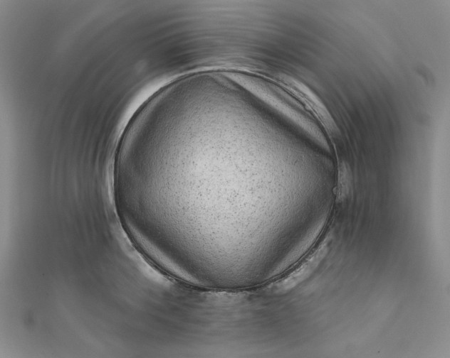 X0000111460812200907271250