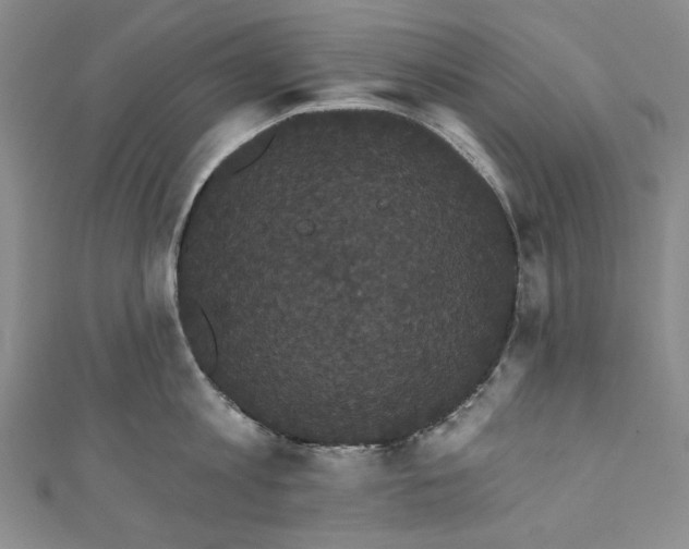 X0000111460813200907271250