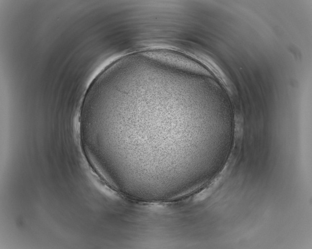 X0000111460814200907271250