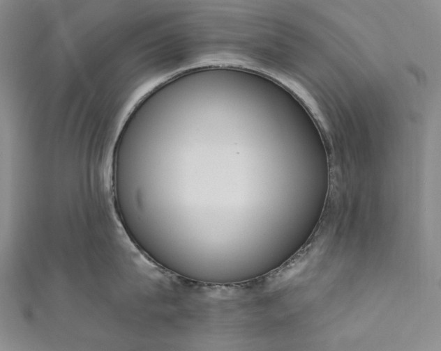 X0000111460815200907271250