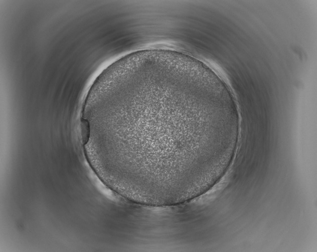 X0000111460816200907271250