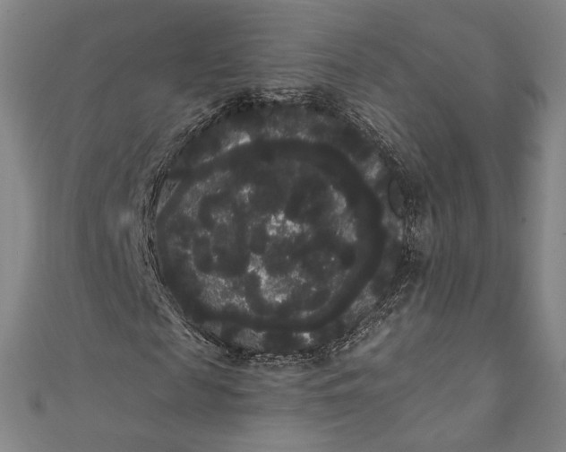 X0000111460817200907271249