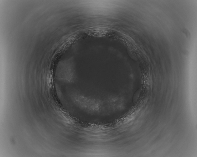 X0000111460818200907271249