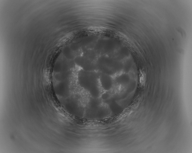 X0000111460819200907271249