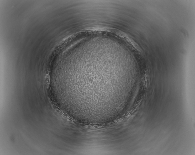 X0000111460821200907271249