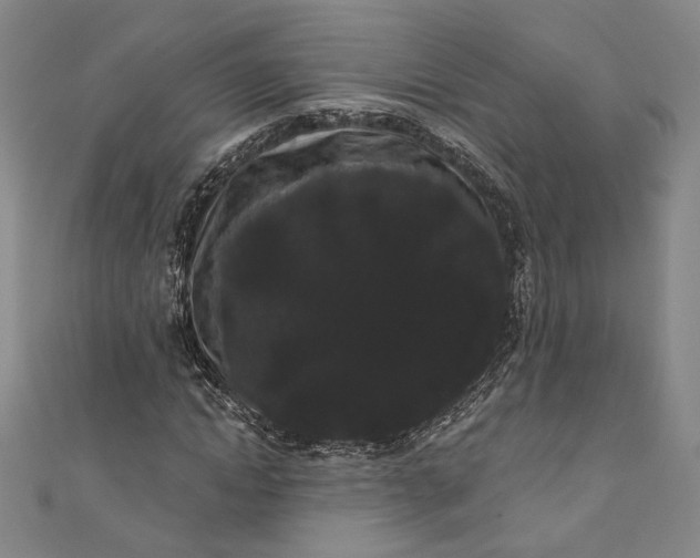 X0000111460822200907271249