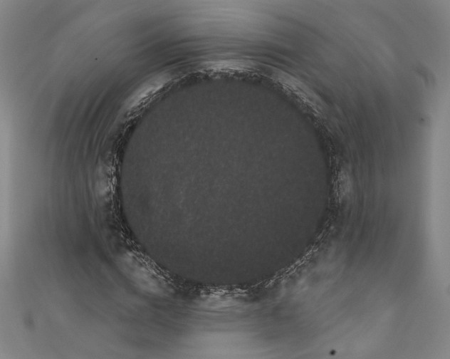 X0000111460824200907271249