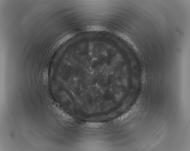 X0000111460825200907271249