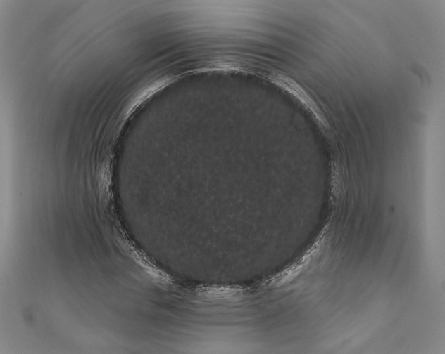 X0000111460826200907271249