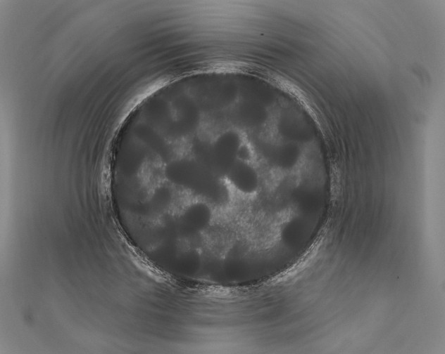 X0000111460827200907271249