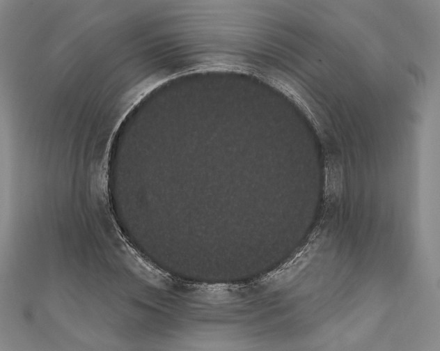 X0000111460828200907271249