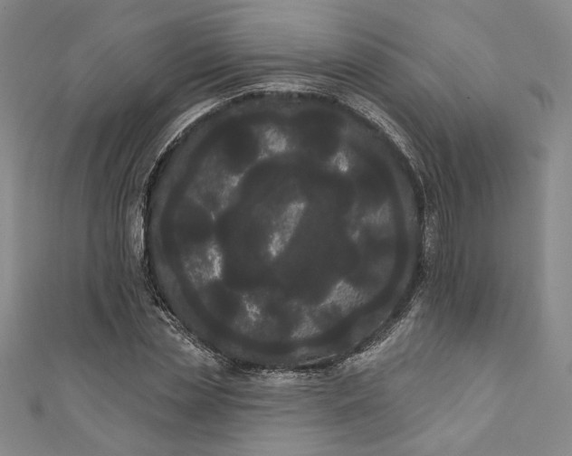 X0000111460829200907271249