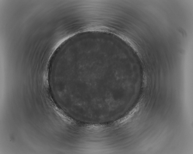 X0000111460830200907271249