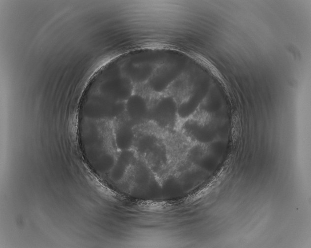 X0000111460831200907271250