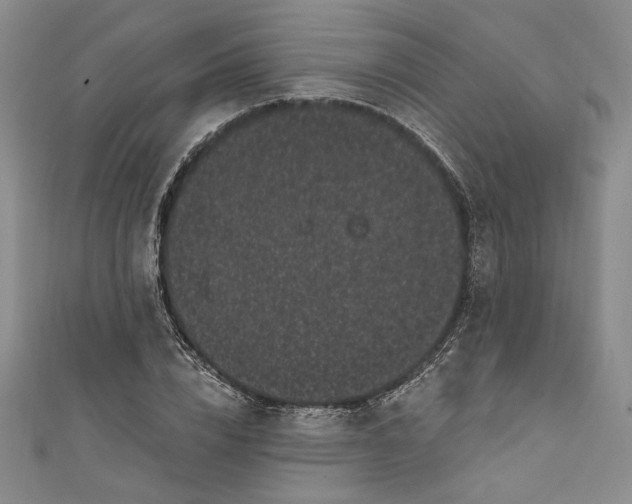 X0000111460832200907271250