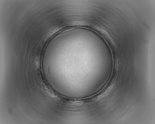 X0000111460833200907271250