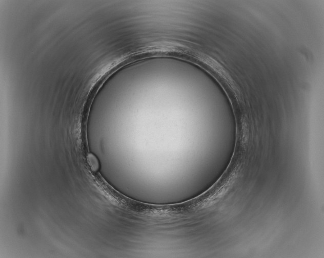 X0000111460834200907271250