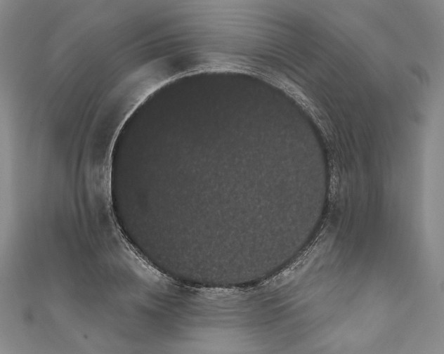 X0000111460836200907271250