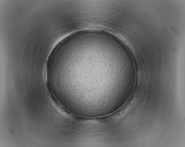 X0000111460838200907271250