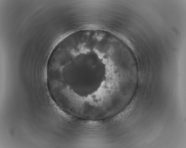 X0000111460839200907271250