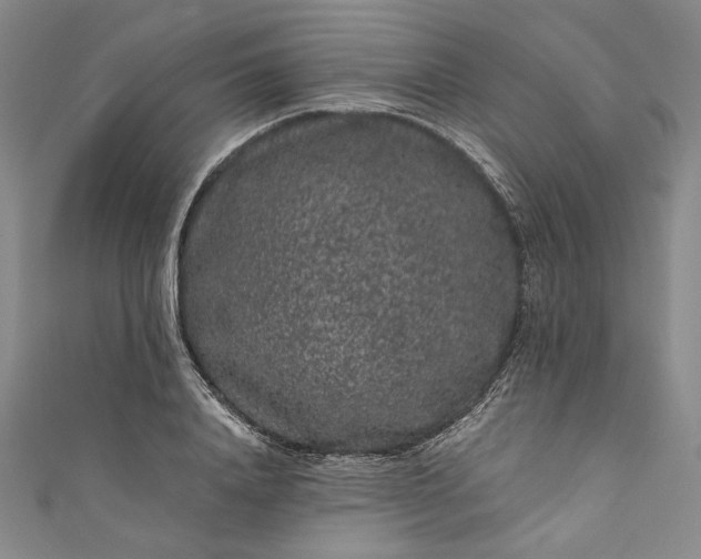 X0000111460840200907271250