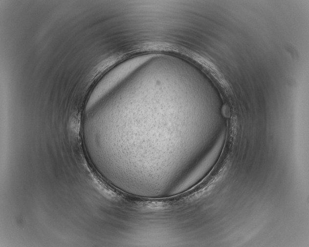 X0000111460841200907271250