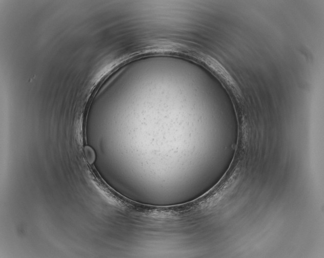 X0000111460842200907271250