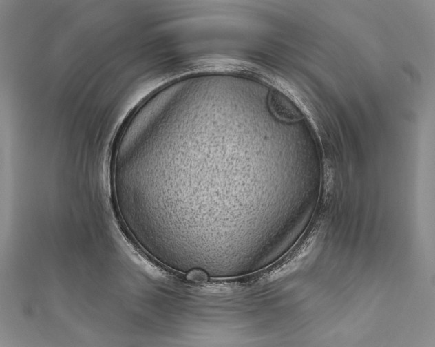 X0000111460843200907271250