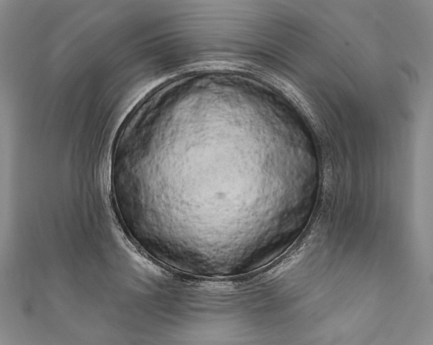 X0000111460844200907271250