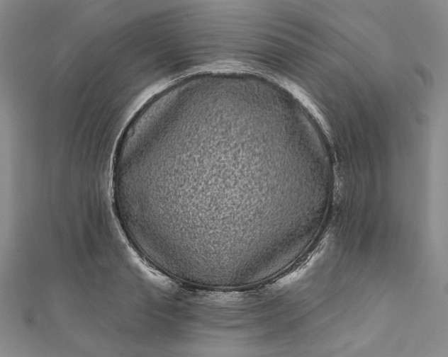 X0000111460845200907271250