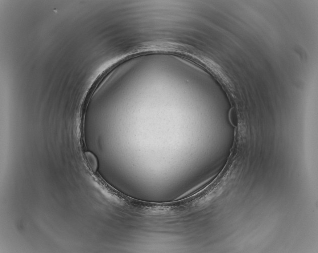 X0000111460846200907271250