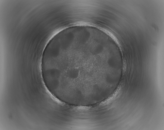 X0000111460847200907271250