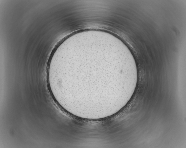 X0000111460848200907271250