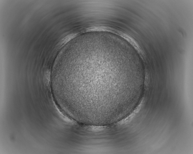 X0000111460849200907271250