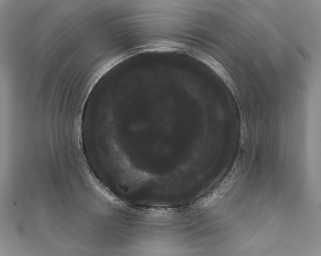 X0000111460850200907271250