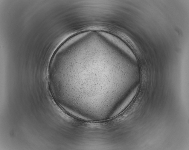 X0000111460852200907271250