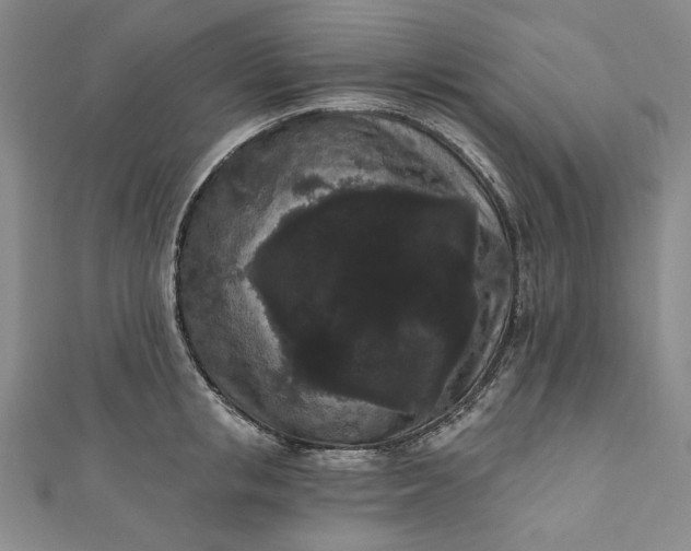 X0000111460853200907271250