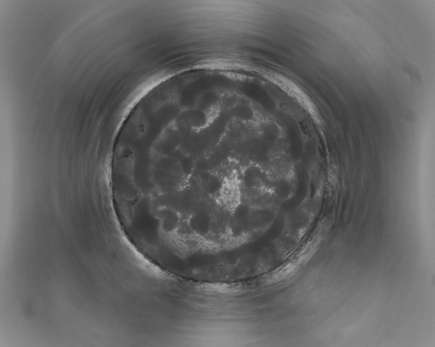 X0000111460855200907271250