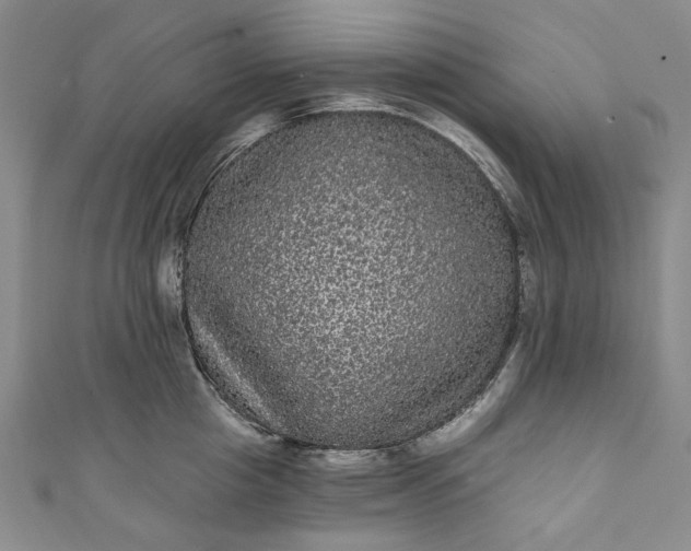 X0000111460857200907271250