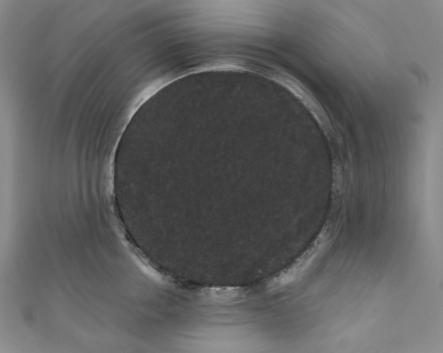 X0000111460858200907271250