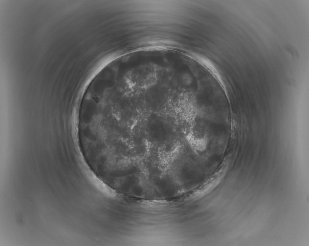 X0000111460859200907271250