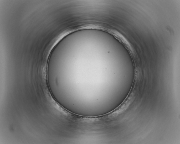 X0000111460860200907271250