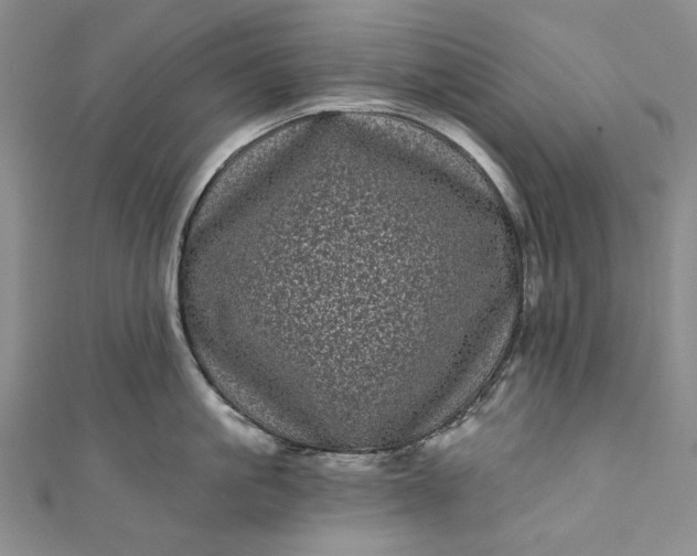 X0000111460861200907271250