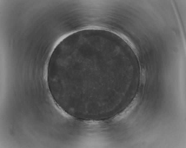 X0000111460862200907271250